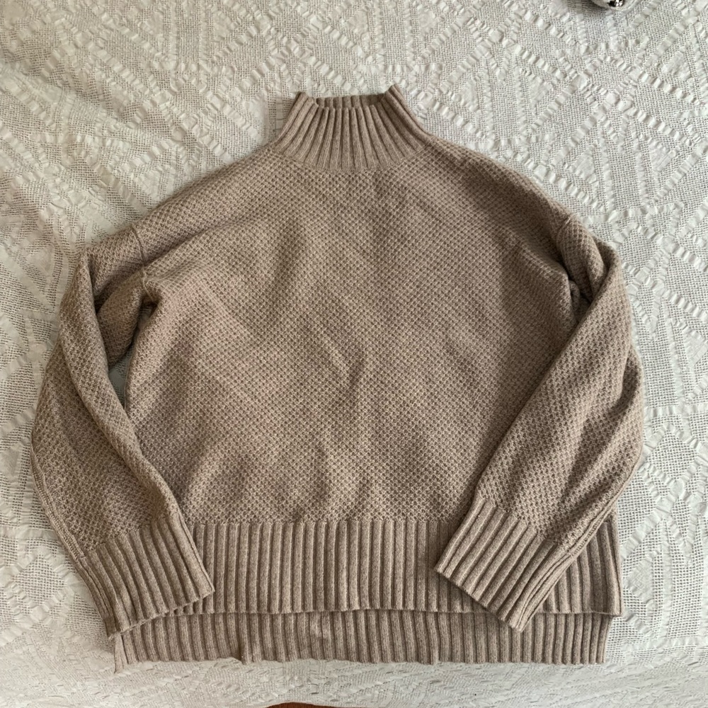 Everlane Oversized Stroopwafel Turtleneck in recycled cashmere